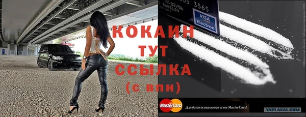 спайс Аркадак