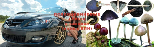 скорость Балахна
